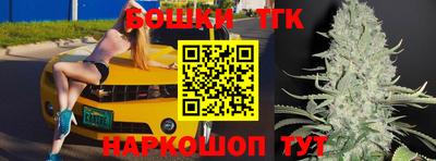 соль ск Рузаевка